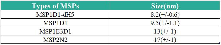 Table 1. Types and sizes of MSPs