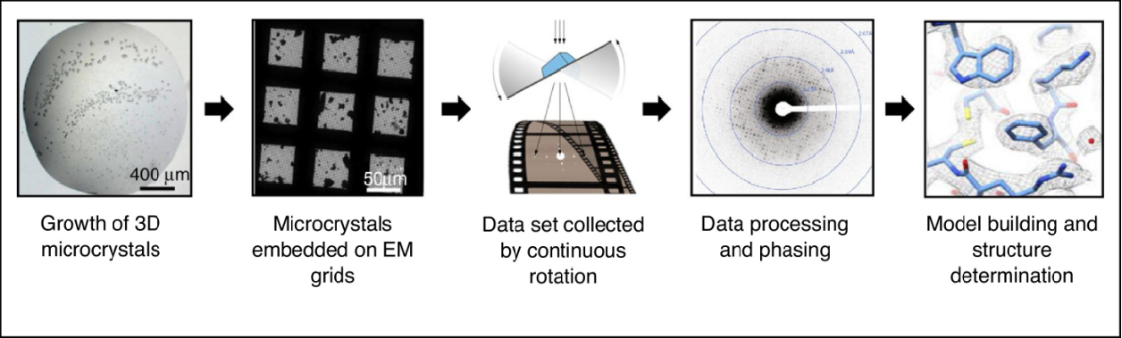 Chi, Nguyen., et al. CURR OPIN STRUC BIOL. 2020.Figure 1. MicroED workflow