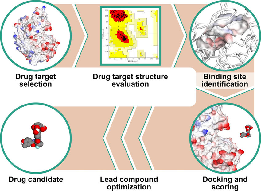 Figture 1. Structure-Based Drug Design Workflow